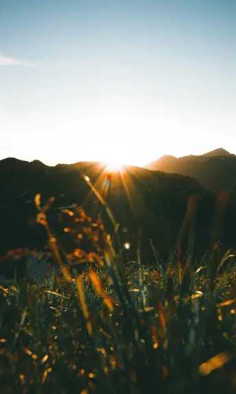 Sehenswürdigkeiten in Fusch und Umgebung Sonnenaufgang hinter Berggipfeln mit Gräsern im Vordergrund