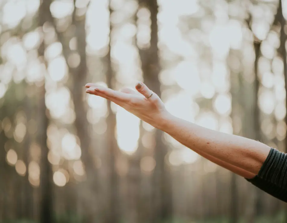 glockna: your sport hotel in the Salzburg region Outstretched arm with open hand against blurred forest background