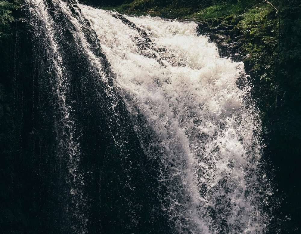 Wasserfall mit stark fließendem Wasser umgeben von dichter Vegetation