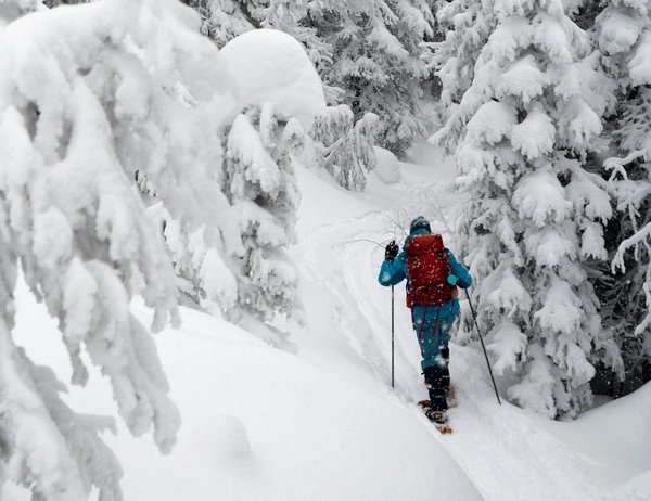 glockna, your wellness hotel in the Salzburg region Person snowshoeing through snowy forest with tall pine trees