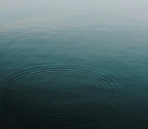 See See