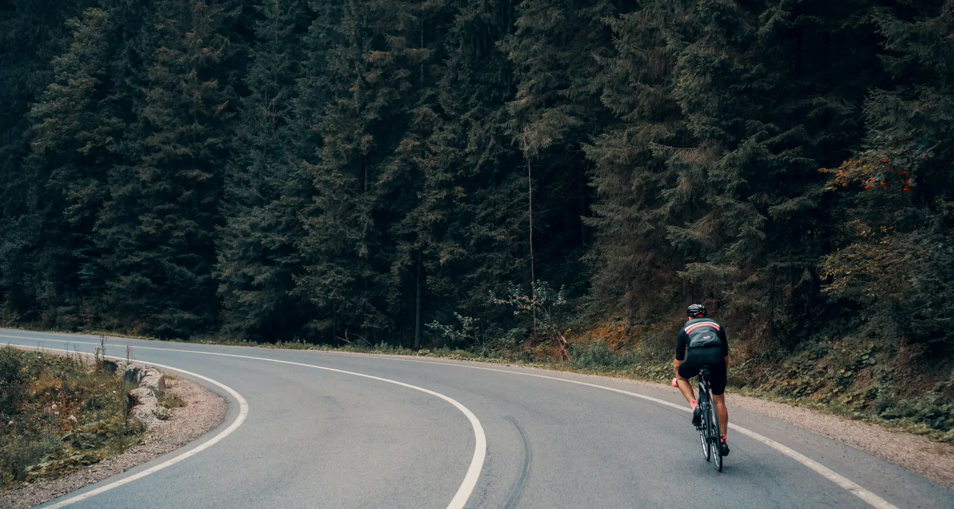 Radfahrer auf kurviger Straße neben dichtem Wald