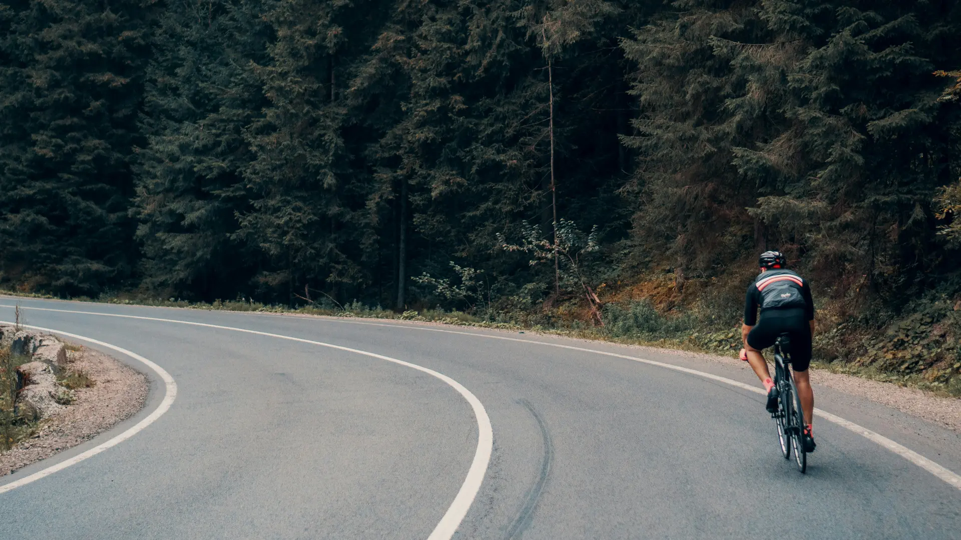 Dein Bike-Hotel im SalzburgerLand: glockna Radfahrer auf kurviger Straße neben dichtem Wald